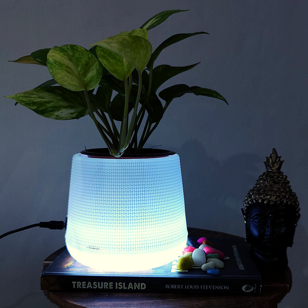 Homefrills LED Flower Pot PEAR with Cool White Light (Plastic Garden Pot, Indoor Planter, Flower Pot, Home Decor, Garden Decor) 5 inches LED Planter.Package Contains-1 Planter with 1 Adapter